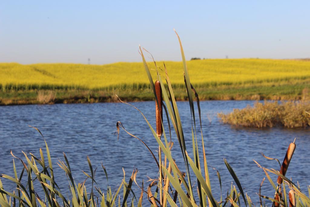 Вилла Agro Nad Stawem Жуково Экстерьер фото